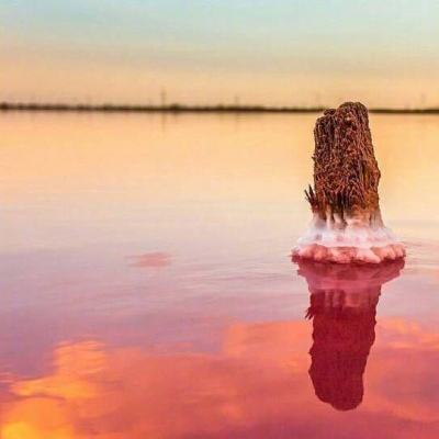 聚富娱乐（官方）综合娱乐APP下载